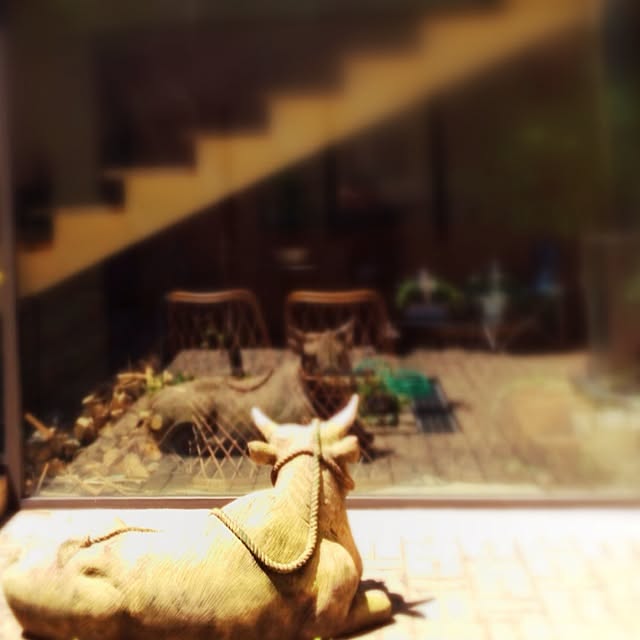 fukami_mさんの実例写真