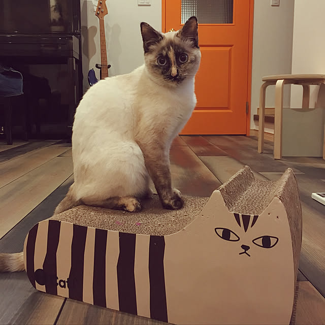 miyaさんの実例写真