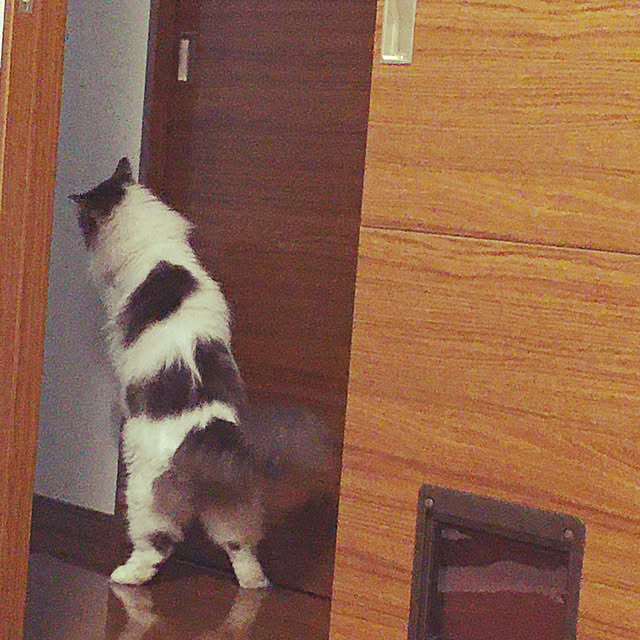 komaさんの実例写真
