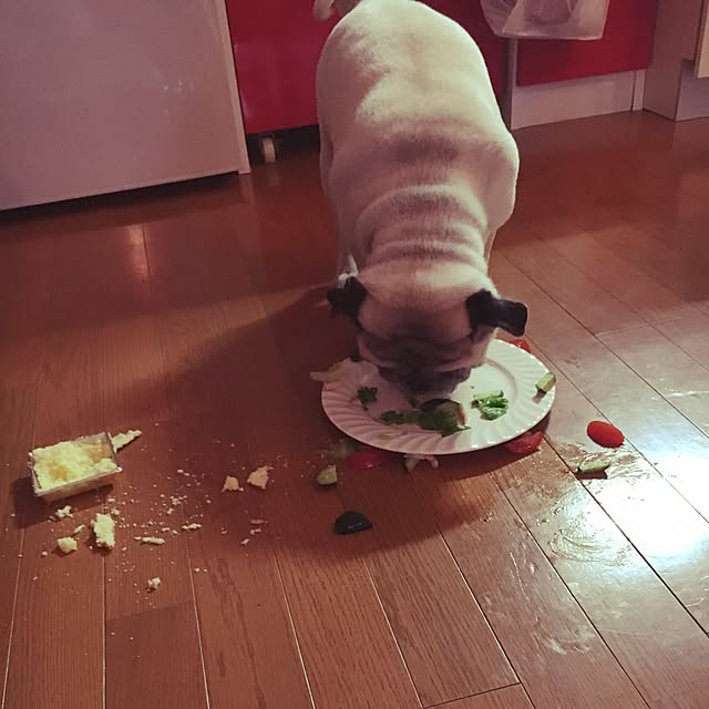 suguruさんの実例写真
