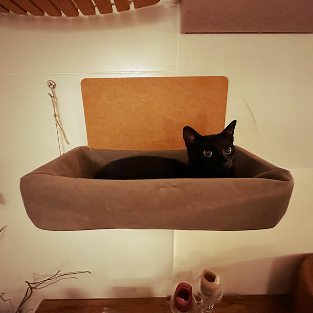 lemonadeさんの部屋