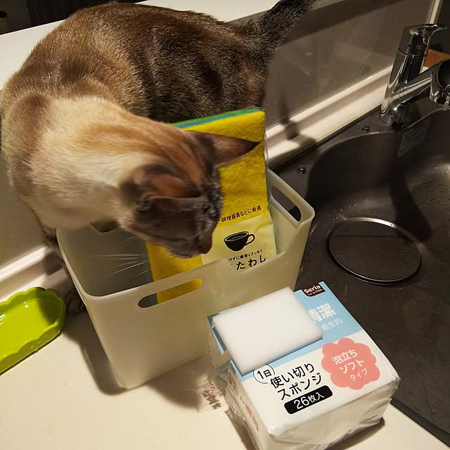 moonさんの実例写真