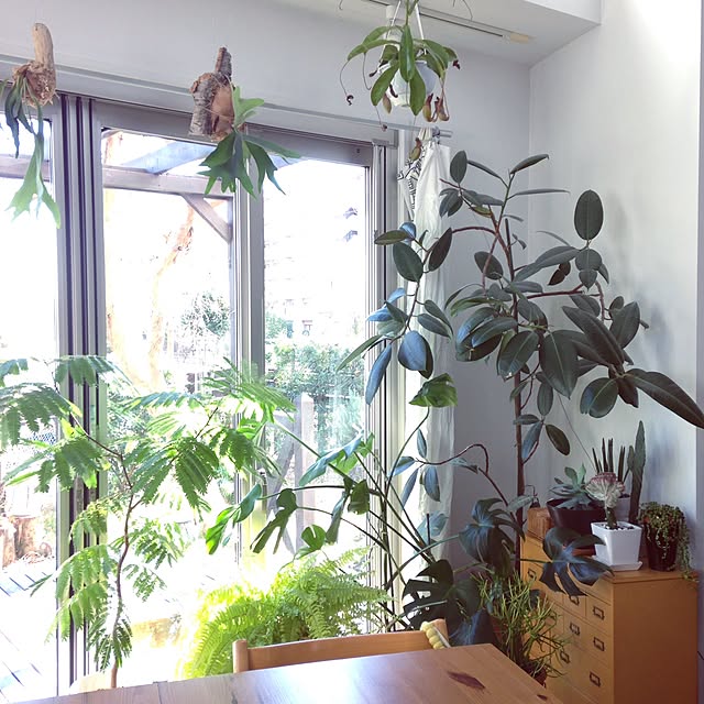 hiroさんの実例写真