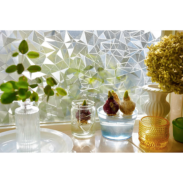 haruisabelさんの部屋