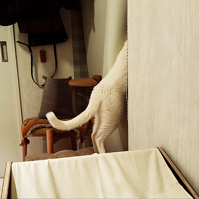 hanaさんの実例写真