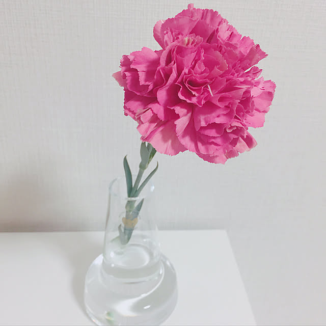 miitanさんの実例写真
