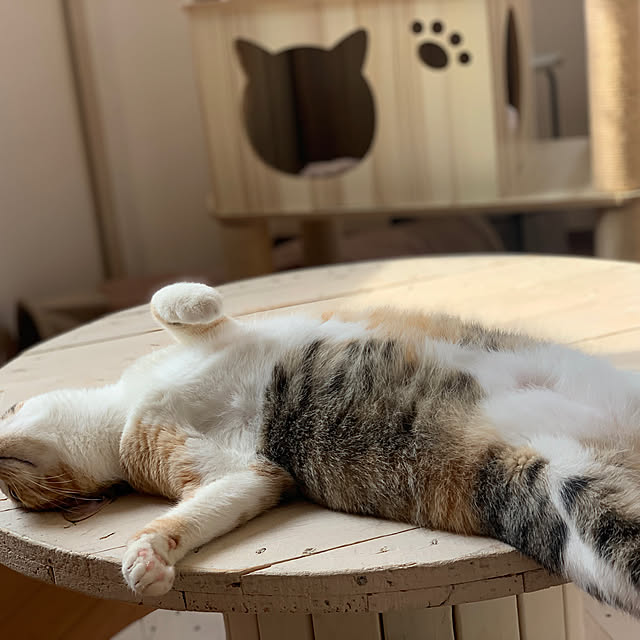 odekoさんの実例写真
