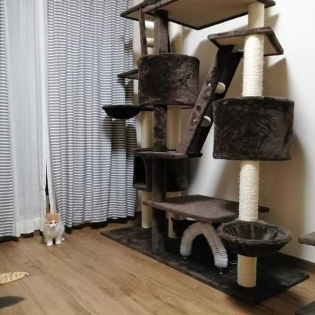 部屋全体のインテリア実例 - 2023-07-24 21:44:45