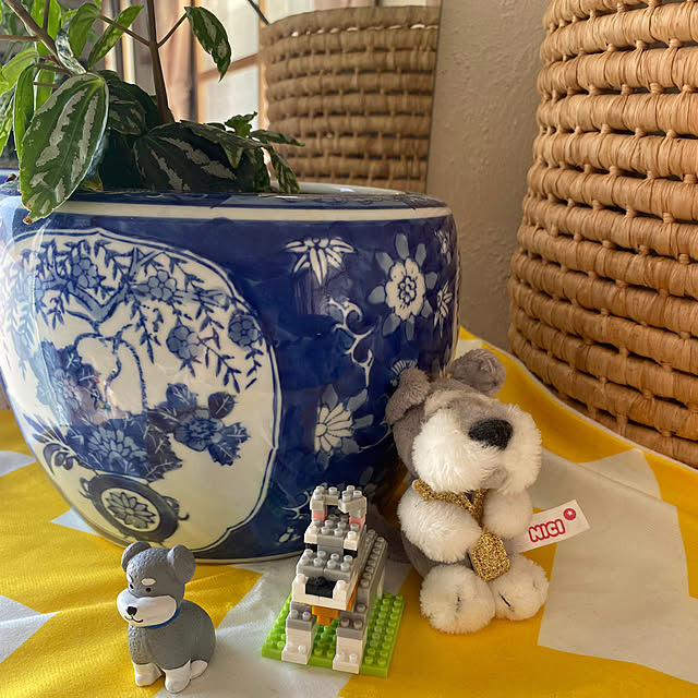 alchoさんの部屋