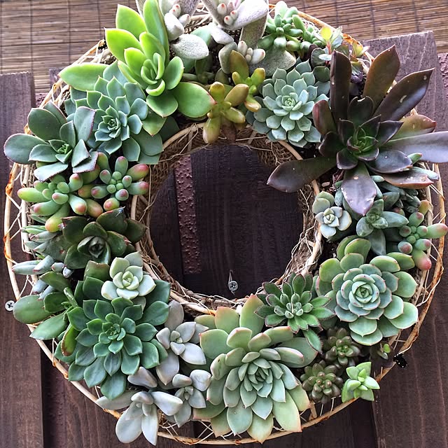 botanさんの実例写真