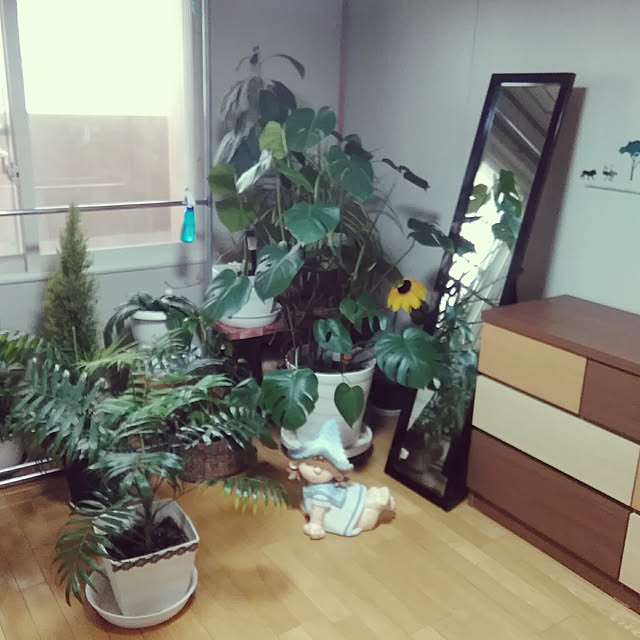 norikoさんの実例写真