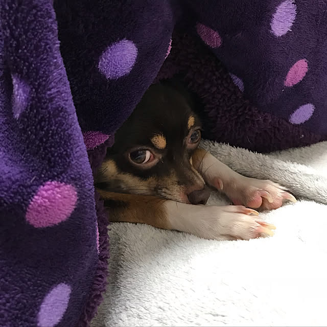 nacchintunnさんの実例写真
