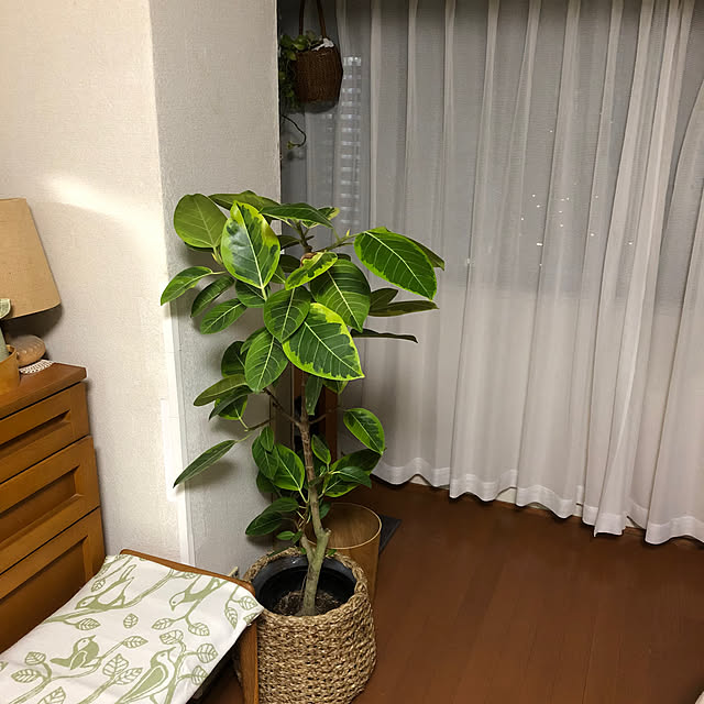 uchidaizuさんの部屋