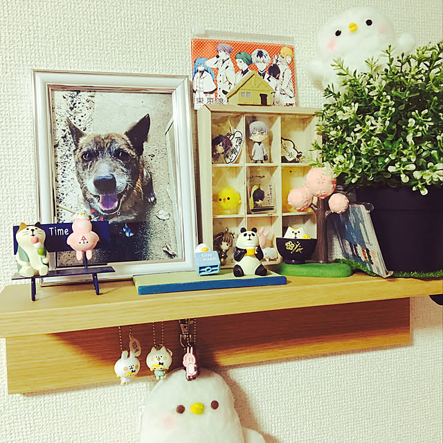 chocoro2さんの実例写真