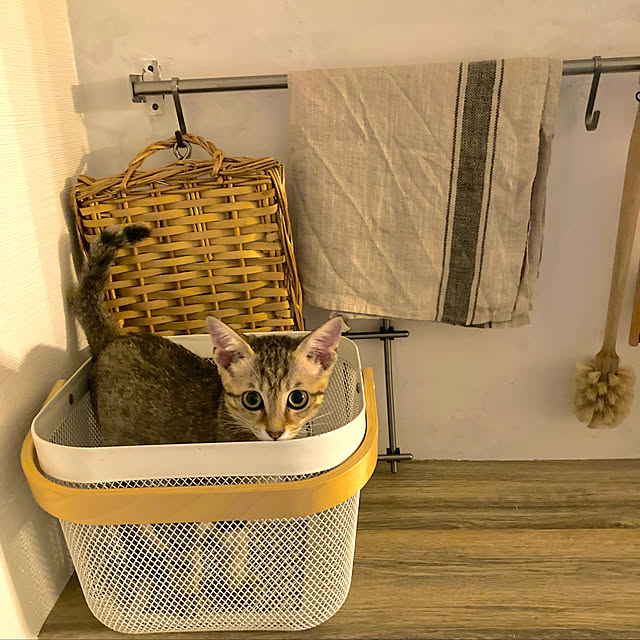 korenankoreさんの実例写真