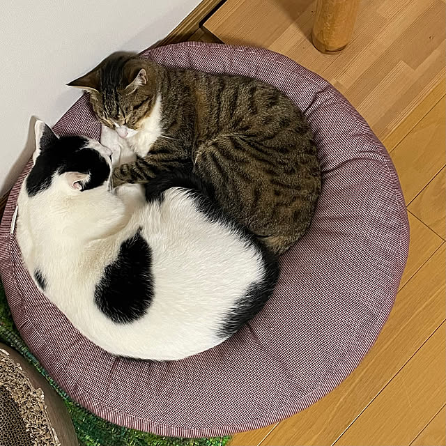 nobikoさんの実例写真
