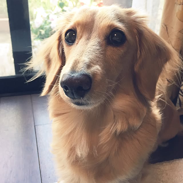 bibianさんの実例写真