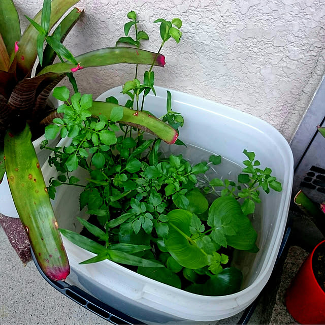 ken.kawakamiさんの部屋