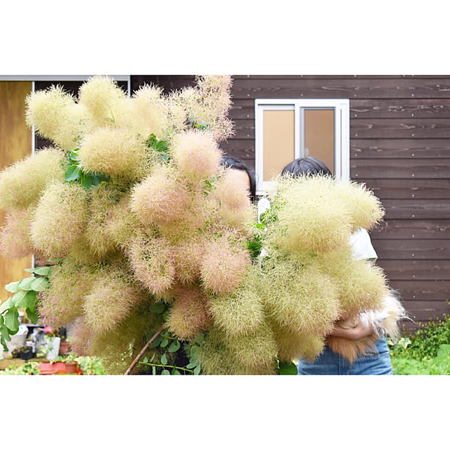 naho81078さんの実例写真