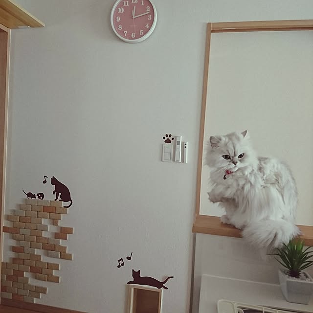 nyan5さんの実例写真