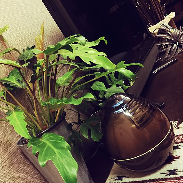 Rans_andy.さんの実例写真