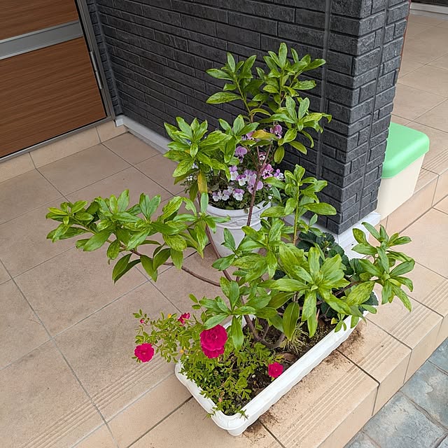 minnieさんの部屋