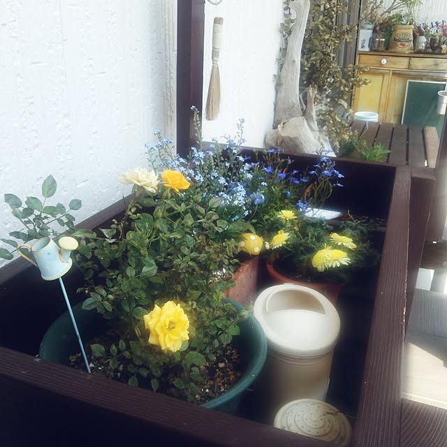 poemwalkさんの実例写真