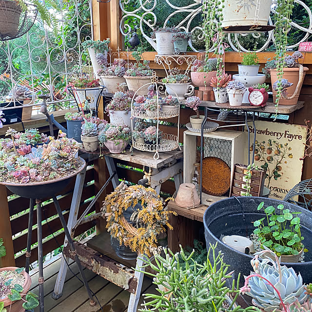 mintteaさんの実例写真