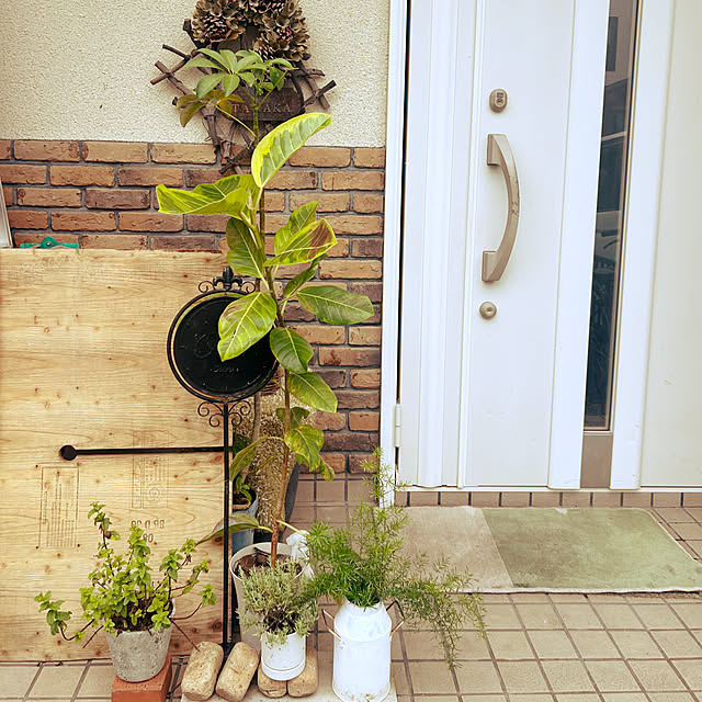 makisoraさんの実例写真