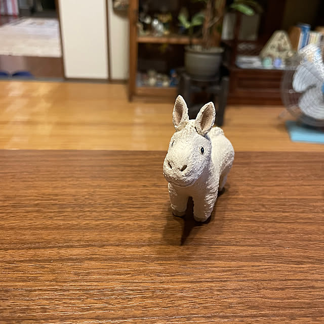 shin0719さんの部屋