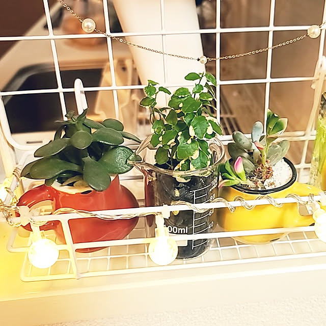 MATSUNさんの実例写真