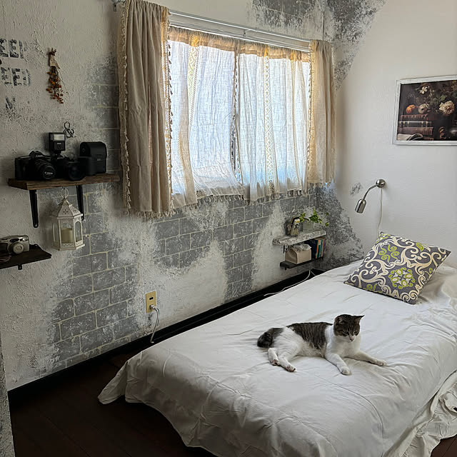 Mikazukiさんの部屋