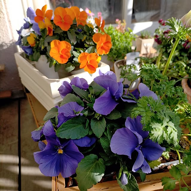 ukiukiさんの部屋