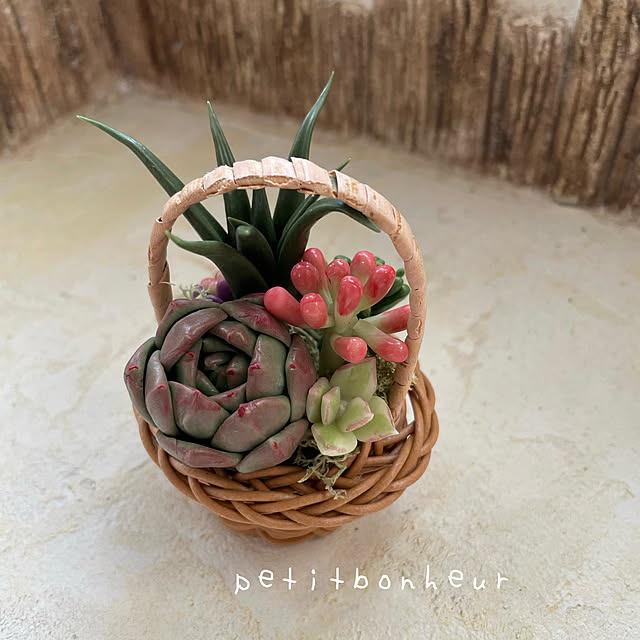 yoko_petitbonheurさんの部屋