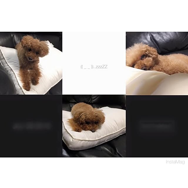 hirorinkotoさんの実例写真