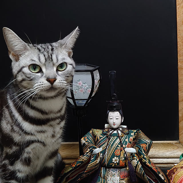 CatClipさんの実例写真