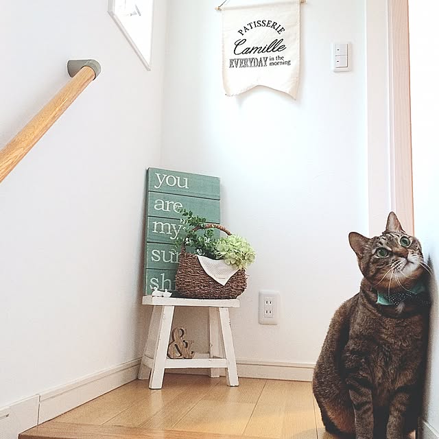 lovecatさんの実例写真