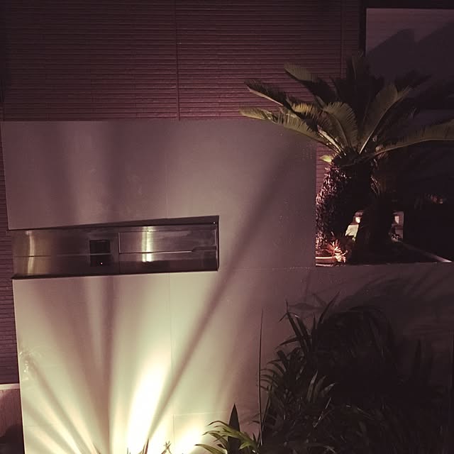 kokepapaさんの実例写真