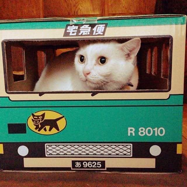 matatabi88さんの実例写真