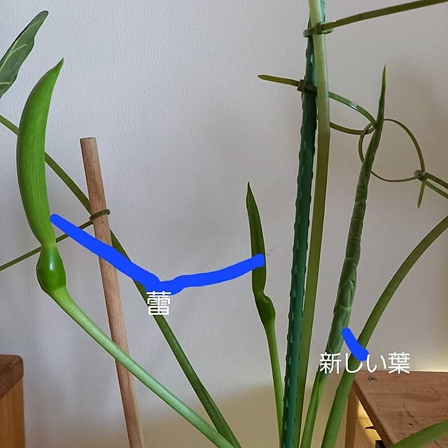 Rさんの部屋