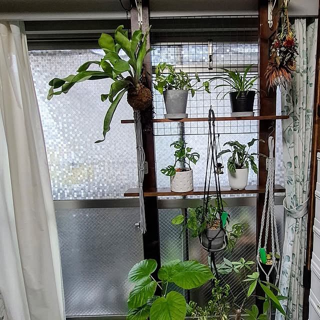 noaさんの部屋