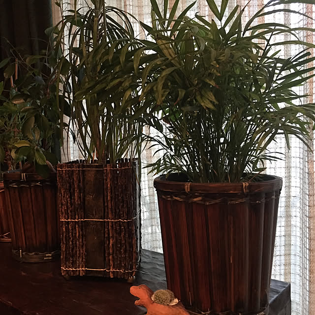 berduaさんの実例写真