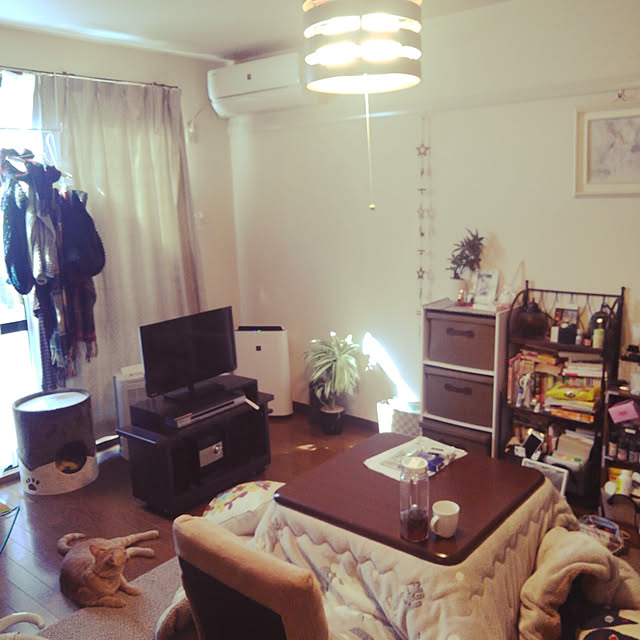 部屋全体のインテリア実例 - 2018-11-04 10:26:04