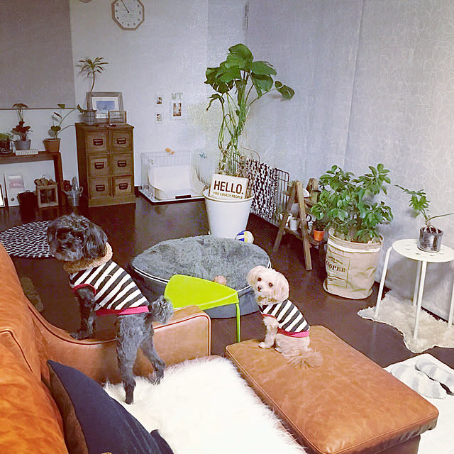risaさんの実例写真
