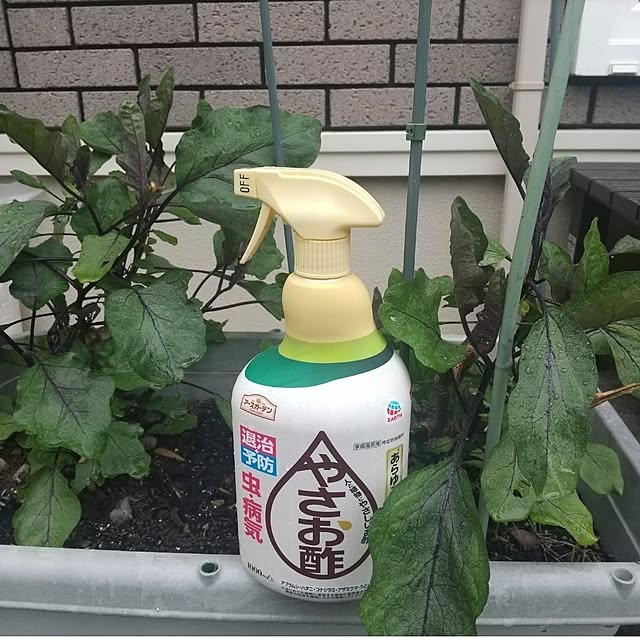 Rさんの実例写真