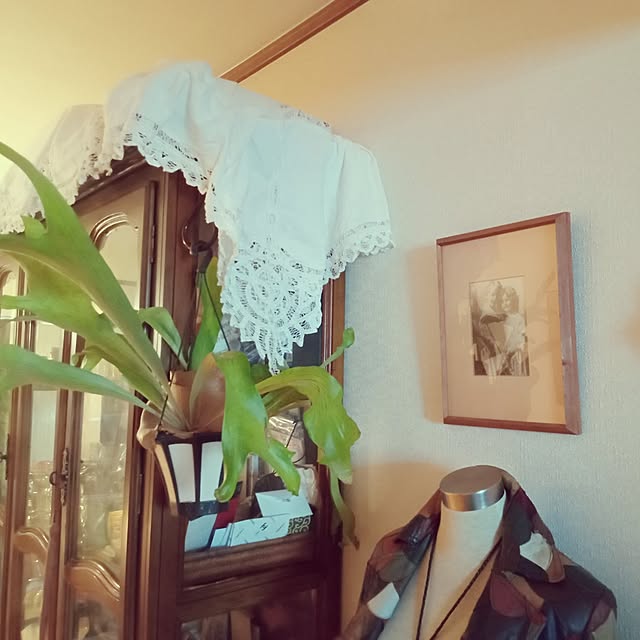 moruさんの部屋