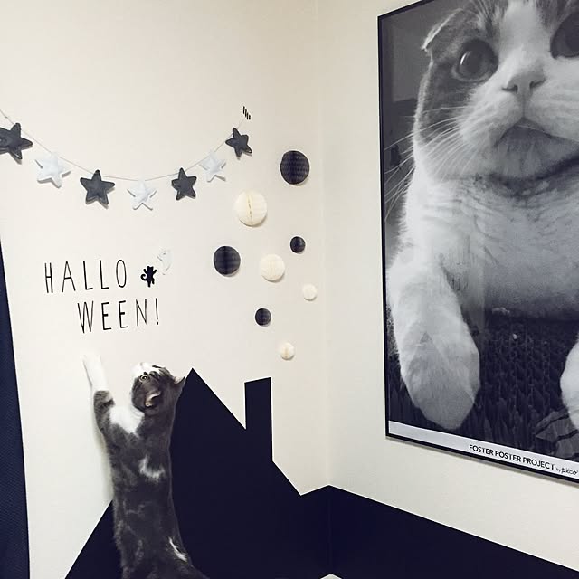 tansukeさんの実例写真