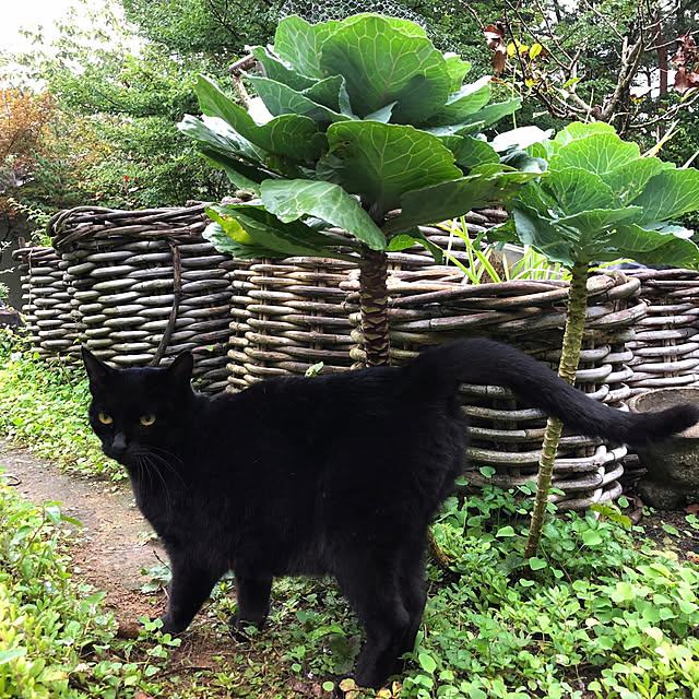 weさんの部屋