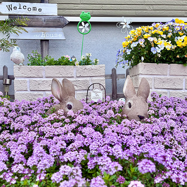 Junさんの実例写真