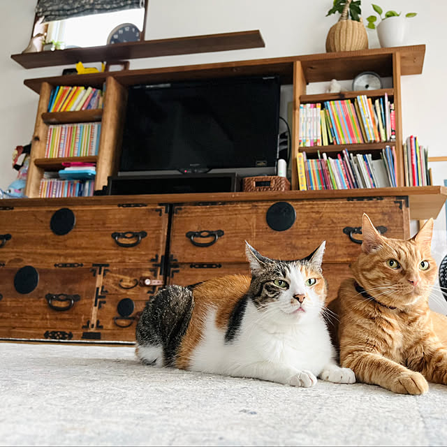 Maruさんの部屋